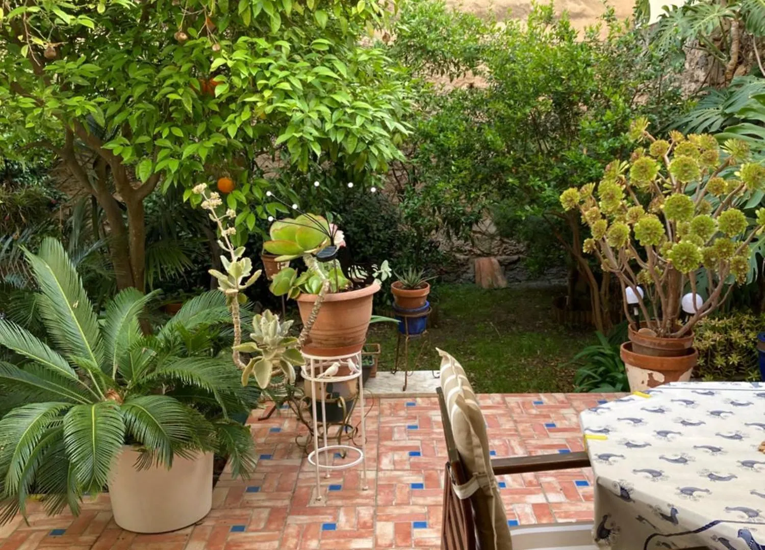 Ferienwohnung Carrer Dels Horts Alghero Apartment