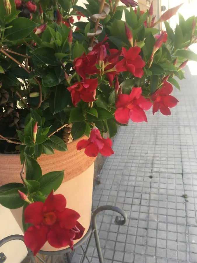 알게로 Carrer Dels Horts 아파트 이탈리아