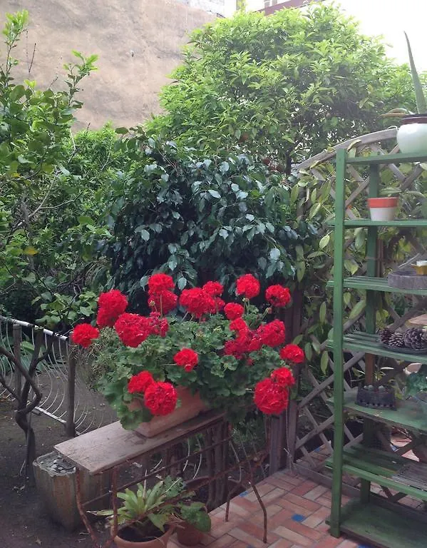 알게로 Carrer Dels Horts 아파트 0*,  이탈리아